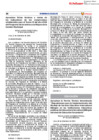 Vista preliminar de documento RD0041_2024EF5001