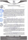 Vista preliminar de documento rgm599