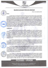 Vista preliminar de documento rgm600