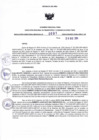 Vista preliminar de documento RDR N° 691-2024-26-12-2024