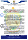 Vista preliminar de documento rgm606