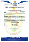 Vista preliminar de documento fegm610