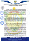 Vista preliminar de documento rgm609