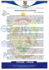 Vista preliminar de documento rgm612