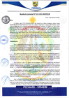 Vista preliminar de documento rgm613