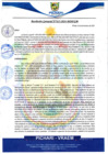 Vista preliminar de documento rgm615