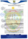 Vista preliminar de documento rgm618
