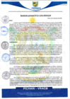 Vista preliminar de documento rgm617
