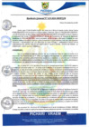 Vista preliminar de documento rgm619