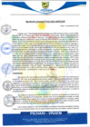 Vista preliminar de documento rgm622