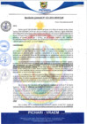 Vista preliminar de documento rgm621