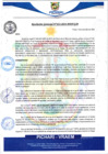 Vista preliminar de documento rgm633