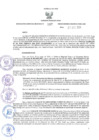 Vista preliminar de documento RES-187-2024-GRI