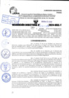 Vista preliminar de documento R.D 2193-2024