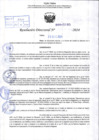 Vista preliminar de documento R.D 2195-2024