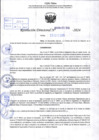 Vista preliminar de documento R.D 2198-2024