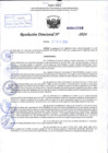 Vista preliminar de documento R.D 2206-2024