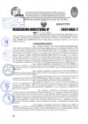 Vista preliminar de documento R.D 2208-2024