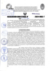 Vista preliminar de documento R.D 2209-2024