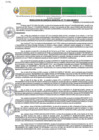 Vista preliminar de documento RGM-771-2024-GM-MPLC
