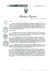 Vista preliminar de documento RD 272 DG 2024