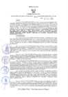 Vista preliminar de documento RES-344-2024-DGC