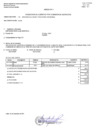 Vista preliminar de documento RENDICION DE CUENTAS POR COMISION DE SERVICIOS - CHILE