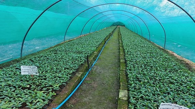 PRODUCCIÓN 1