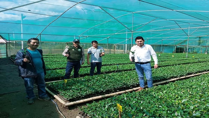 PRODUCCIÓN 2