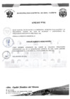 Vista preliminar de documento ANEXO