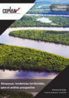 Vista preliminar de documento Amazonas - Tendencias territoriales para el análisis prospectivo_2024