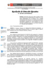 Vista preliminar de documento RDE N.248-2024-JUS-PRONACEJ