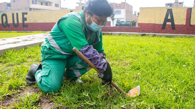¡Mantenimiento de áreas verdes en nuestros parques!