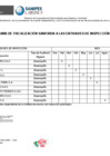 Vista preliminar de documento CRONOGRAMA EI-2025-DFS-UAEEI
