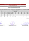 Vista preliminar de documento RESULTADOS PRELIMINARES