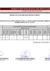 Vista preliminar de documento RESULTADOS PRELIMINARES 