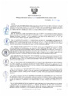 Vista preliminar de documento rd223