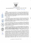 Vista preliminar de documento rd222