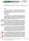 Vista preliminar de documento Resoluciòn que crea Comite