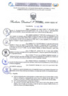 Vista preliminar de documento Resolución Directoral N° 2891 - 2024