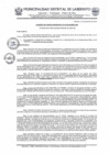 Vista preliminar de documento Acuerdo de concejo N 27