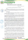 Vista preliminar de documento 115
