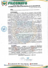 Vista preliminar de documento AM11