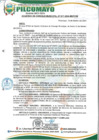 Vista preliminar de documento AM17