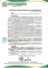 Vista preliminar de documento AM19