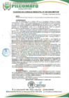 Vista preliminar de documento AM20