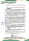 Vista preliminar de documento AM26