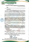 Vista preliminar de documento AM33