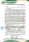 Vista preliminar de documento AM37