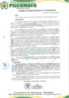 Vista preliminar de documento AM157